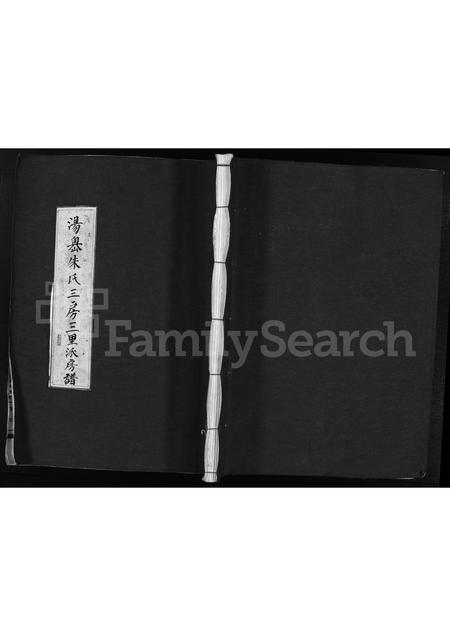 4897.汤岙朱氏三房三里派房谱 [不分卷](别名：Tang Ao Zhu Shi San Fang San Li Pai Fang Pu、汤岙朱氏宗谱、汤岙朱氏三房三里派房谱).pdf电子版