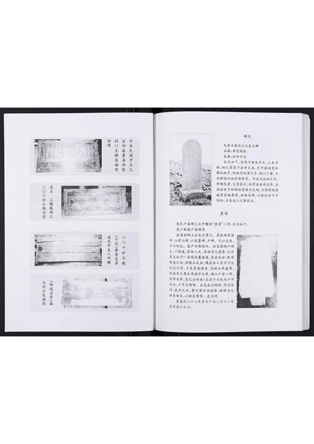 山西庞氏-庞氏家谱[不分卷].pdf电子版插图1
