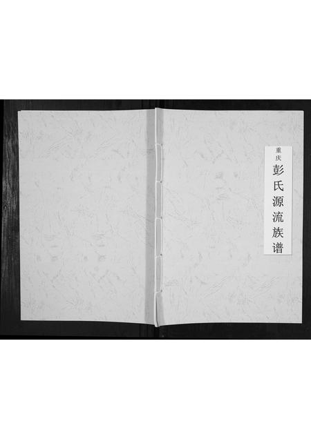 四川彭氏-重庆彭氏源流族谱.pdf电子版插图