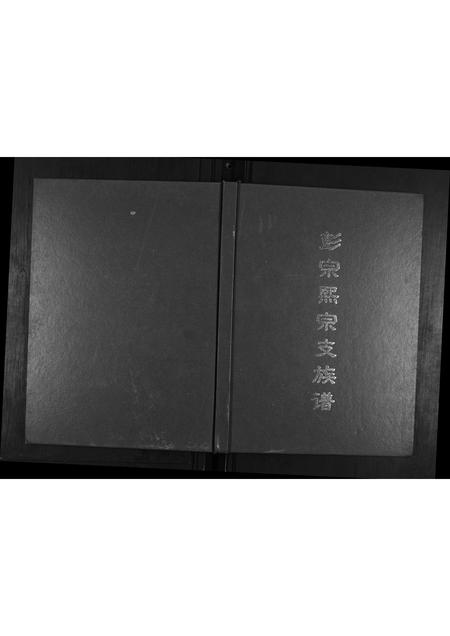 广西彭氏-彭宗熙宗支族谱.pdf电子版插图