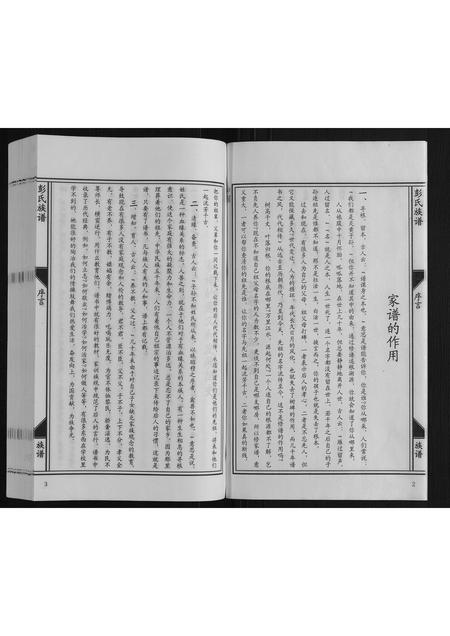 河北彭氏-彭氏族谱.pdf电子版插图3