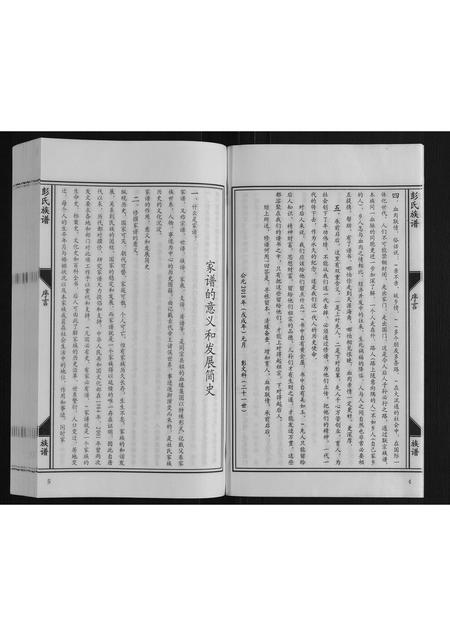 河北彭氏-彭氏族谱.pdf电子版插图4