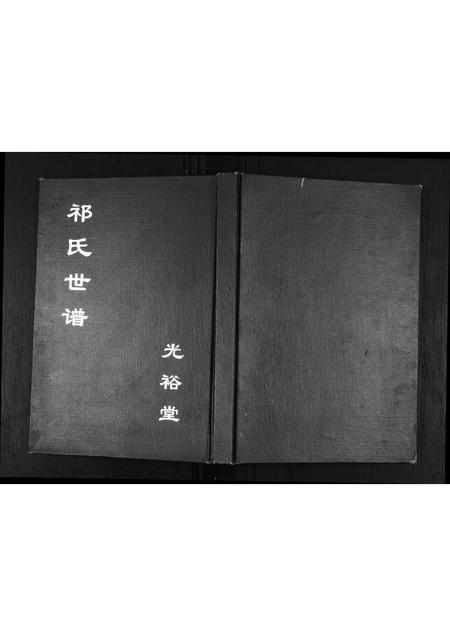 山东祁氏-祁氏世谱.pdf电子版