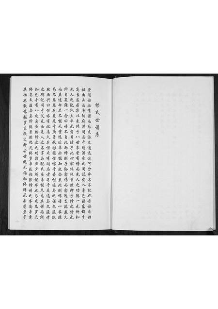 山东祁氏-祁氏世谱.pdf电子版插图2 山东祁氏-祁氏世谱.pdf电子版插图2