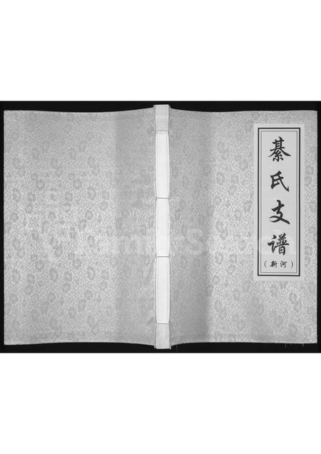 山东綦氏-綦氏支谱(别名：綦氏支谱(新河)).pdf电子版