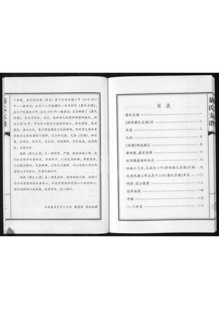 山东綦氏-綦氏支谱(别名：綦氏支谱(新河)).pdf电子版插图3