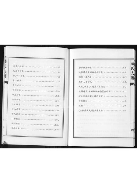 山东綦氏-綦氏支谱(别名：綦氏支谱(新河)).pdf电子版插图4