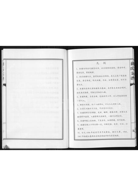 山东綦氏-綦氏支谱(别名：綦氏支谱(新河)).pdf电子版插图5