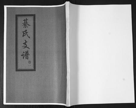 山东綦氏-綦氏支谱[3卷].pdf电子版插图