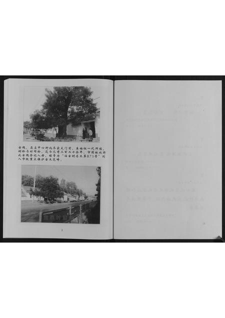 山东齐氏-齐氏族谱.pdf电子版插图3 山东齐氏-齐氏族谱.pdf电子版插图3