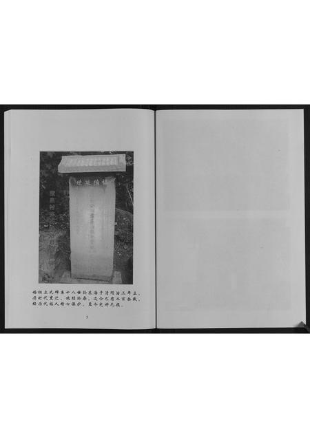 山东齐氏-齐氏族谱.pdf电子版插图5 山东齐氏-齐氏族谱.pdf电子版插图5