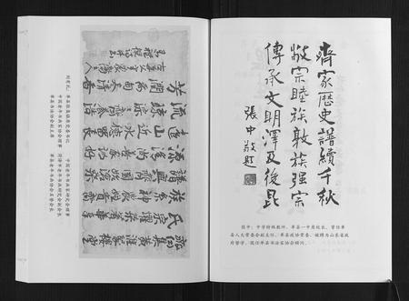 山东齐氏-齐氏族谱.pdf电子版插图3