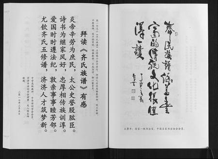 山东齐氏-齐氏族谱.pdf电子版插图4