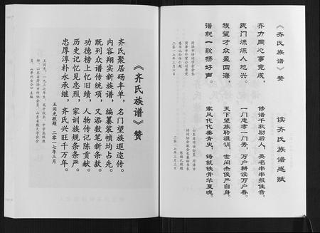 山东齐氏-齐氏族谱.pdf电子版插图5
