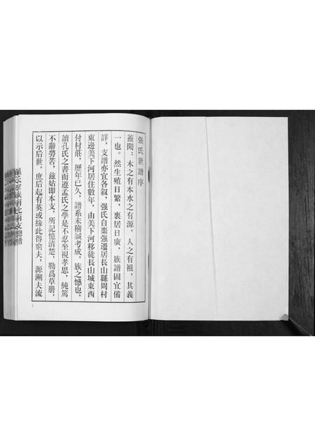 山东强氏-强氏家谱南北两支总谱.pdf电子版插图1