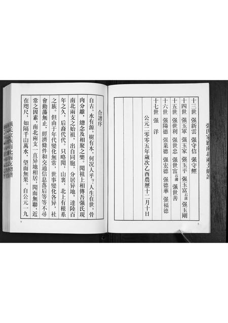 山东强氏-强氏家谱南北两支总谱.pdf电子版插图5