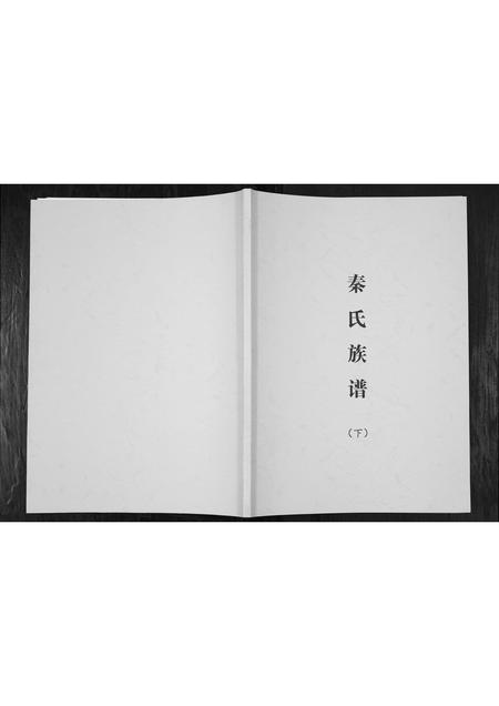 四川秦氏-秦氏族谱.pdf电子版插图