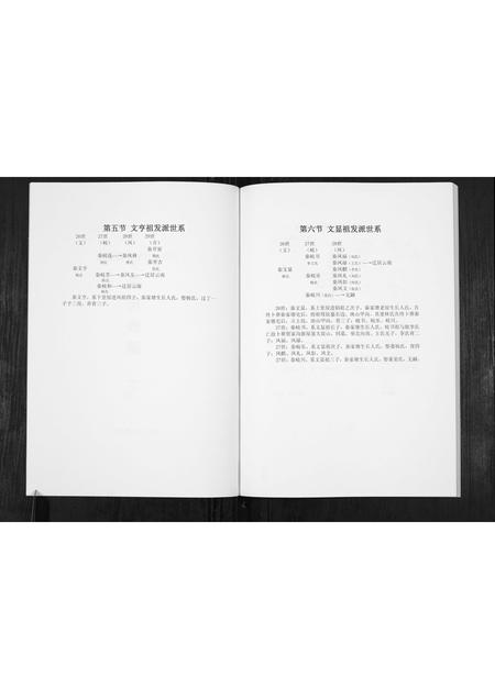 四川秦氏-秦氏族谱.pdf电子版插图2