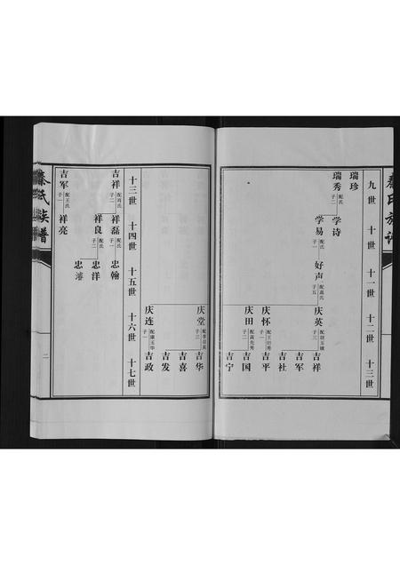 山东秦氏-秦氏族谱[2卷].pdf电子版插图2