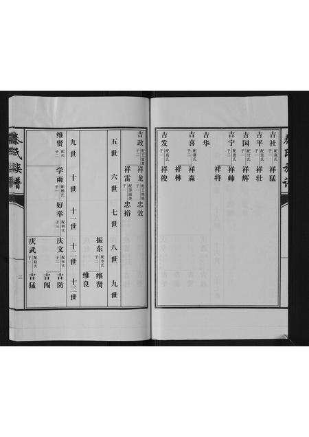 山东秦氏-秦氏族谱[2卷].pdf电子版插图3