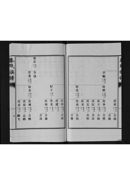 山东秦氏-秦氏族谱[2卷].pdf电子版插图4