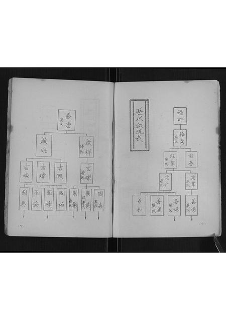 广西秦氏-寨江秦氏族谱[不分卷].pdf电子版插图4