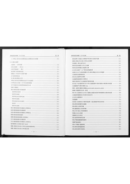 海南丘氏邱氏-中华丘氏大宗谱.海南万宁分谱.pdf电子版插图5