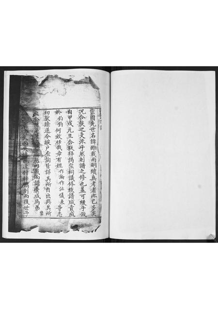 山东邱氏-邱氏族谱.pdf电子版插图2 山东邱氏-邱氏族谱.pdf电子版插图2