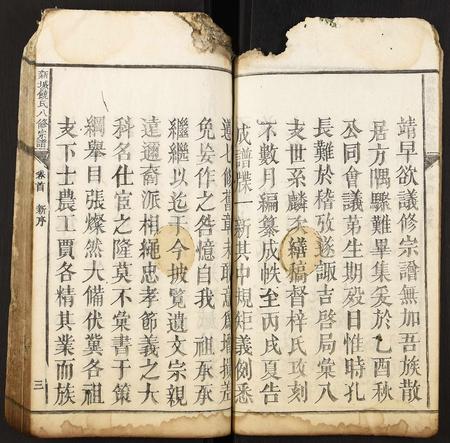 河北饶氏-新城饶氏八修宗谱.pdf电子版插图3