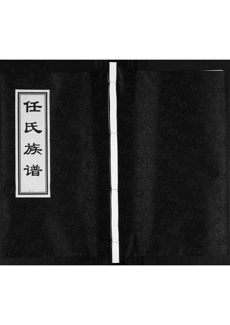 山东任氏-任氏族谱.pdf电子版插图