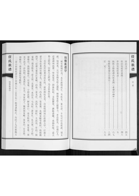 山东任氏-任氏族谱.pdf电子版插图5