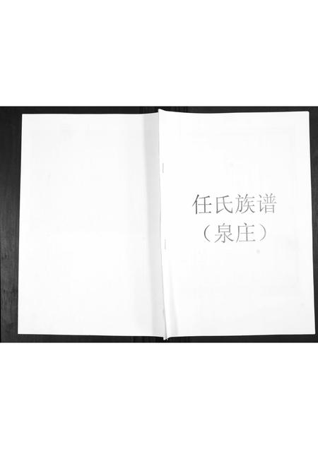 山东任氏-任氏族谱.pdf电子版插图