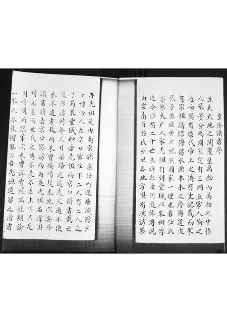 山东任氏-任氏族谱.pdf电子版插图1