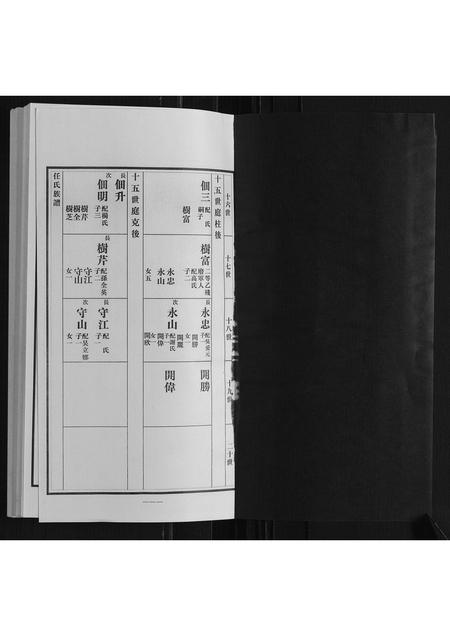 山东任氏-任氏族谱.pdf电子版插图1