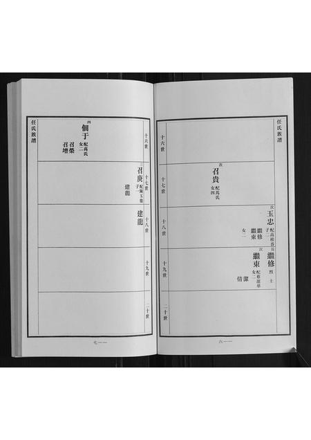 山东任氏-任氏族谱.pdf电子版插图4