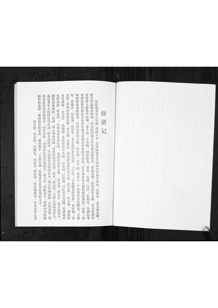 山东任氏-任氏谱书[3卷](别名：Ren Shi Pu Shu).pdf电子版插图3