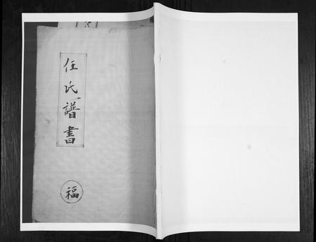 山东任氏-任氏谱书[4卷].pdf电子版插图