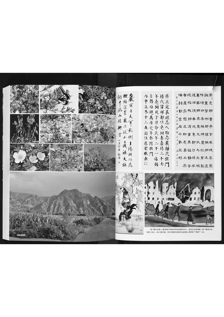山西任氏-山西省定襄留晖任氏宗谱.pdf电子版插图4