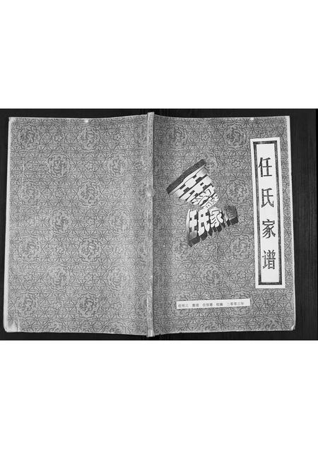 甘肃任氏-任氏族谱[不分卷].pdf电子版插图