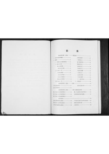 甘肃任氏-任氏族谱[不分卷].pdf电子版插图3