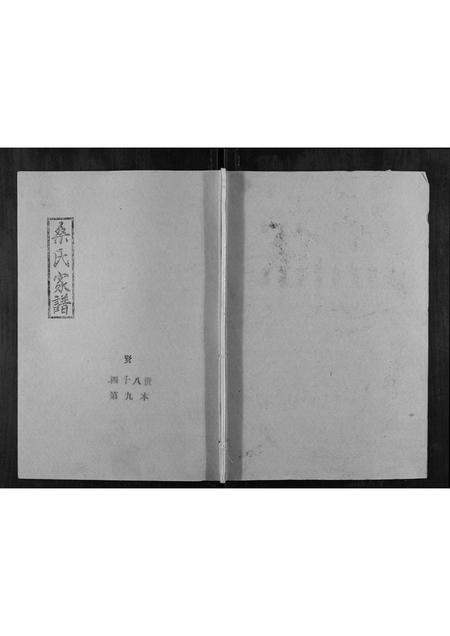 山东桑氏-桑氏家谱.pdf电子版插图