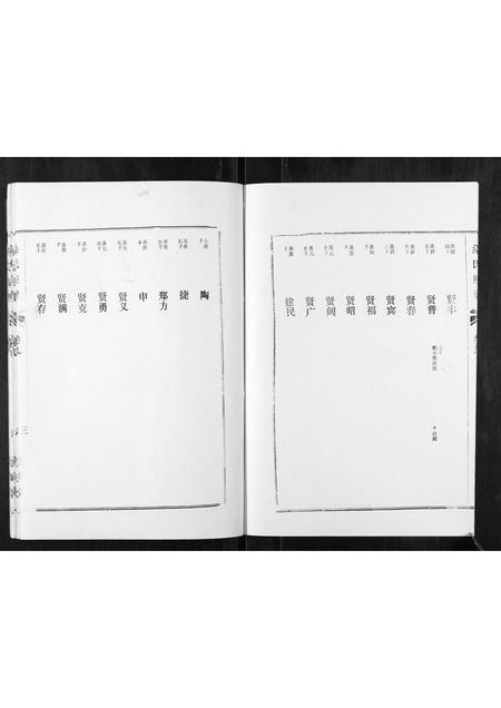 山东桑氏-桑氏家谱.pdf电子版插图3