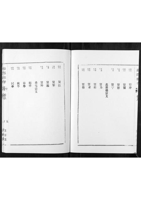 山东桑氏-桑氏家谱.pdf电子版插图5
