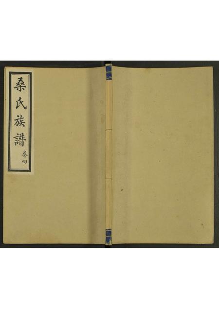 山东桑氏-桑氏族谱 [4卷].pdf电子版插图