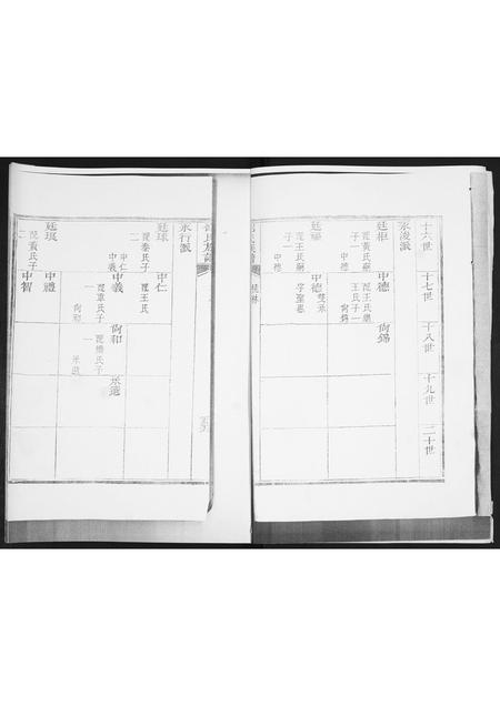 山东邵氏-邵氏族谱.pdf电子版插图1