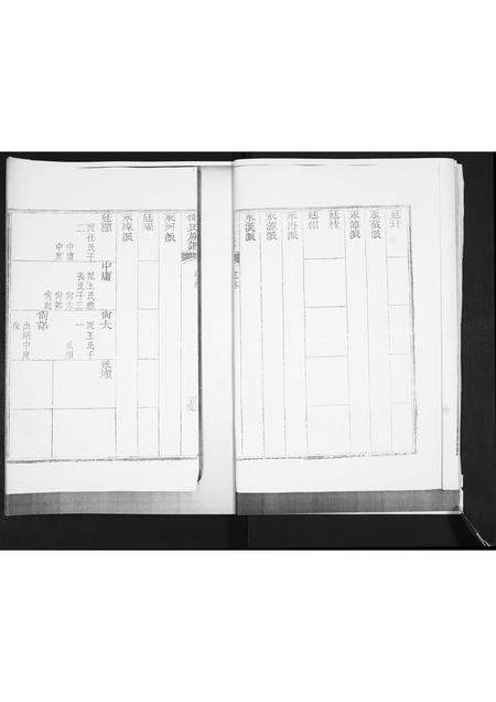 山东邵氏-邵氏族谱.pdf电子版插图2