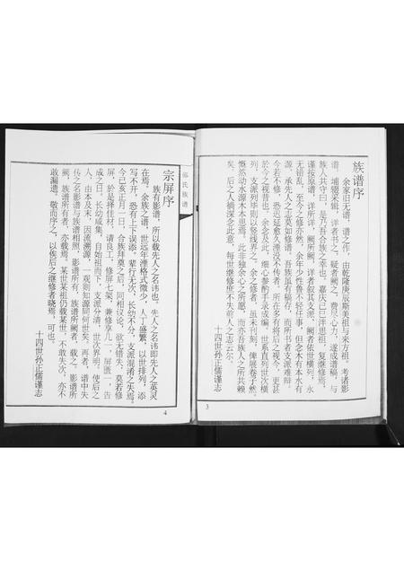 山东邵氏-邵氏族谱.pdf电子版插图3