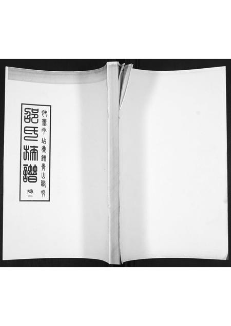 山东邵氏-邵氏族谱[2卷].pdf电子版插图