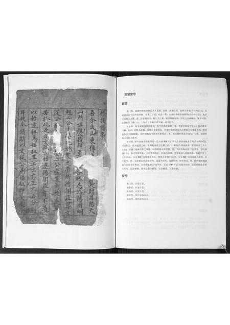 山东佘氏-佘氏族谱.舞旗埠村.pdf电子版插图5