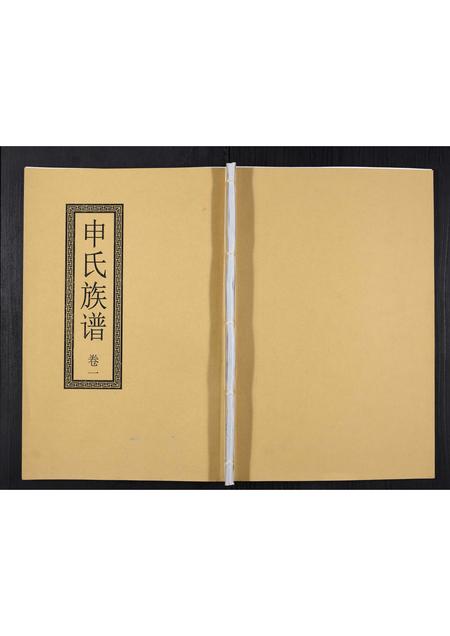 山东申氏-申氏族谱[6卷].pdf电子版插图